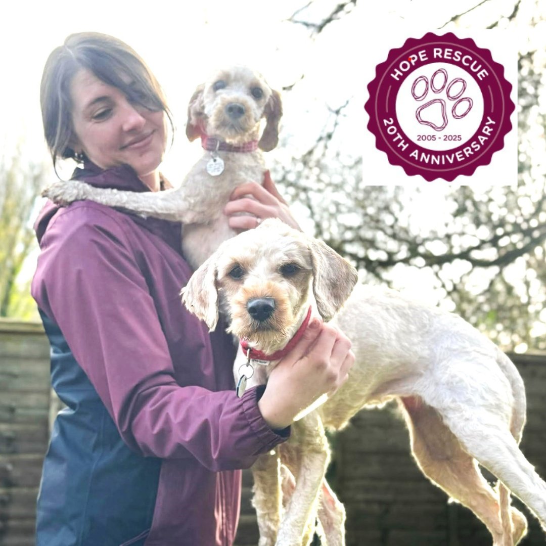 HopeRescue's tweet image. We're celebrating #20yearsofHope in 2025! Find out more about our exciting plans here 👉hoperescue.org.uk/News/looking-f… 🐾🐾