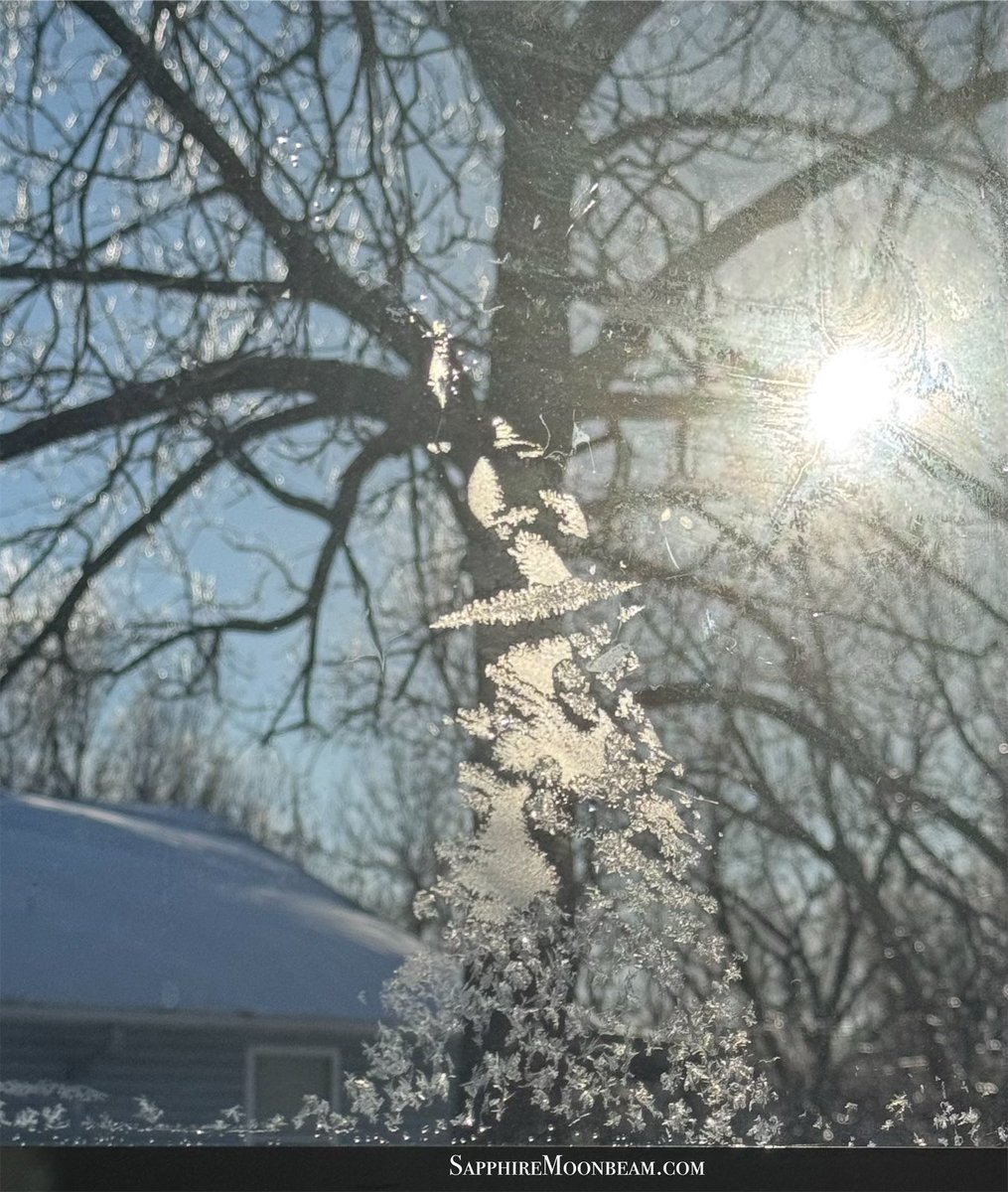 Sapphire Moonbeam tweet media