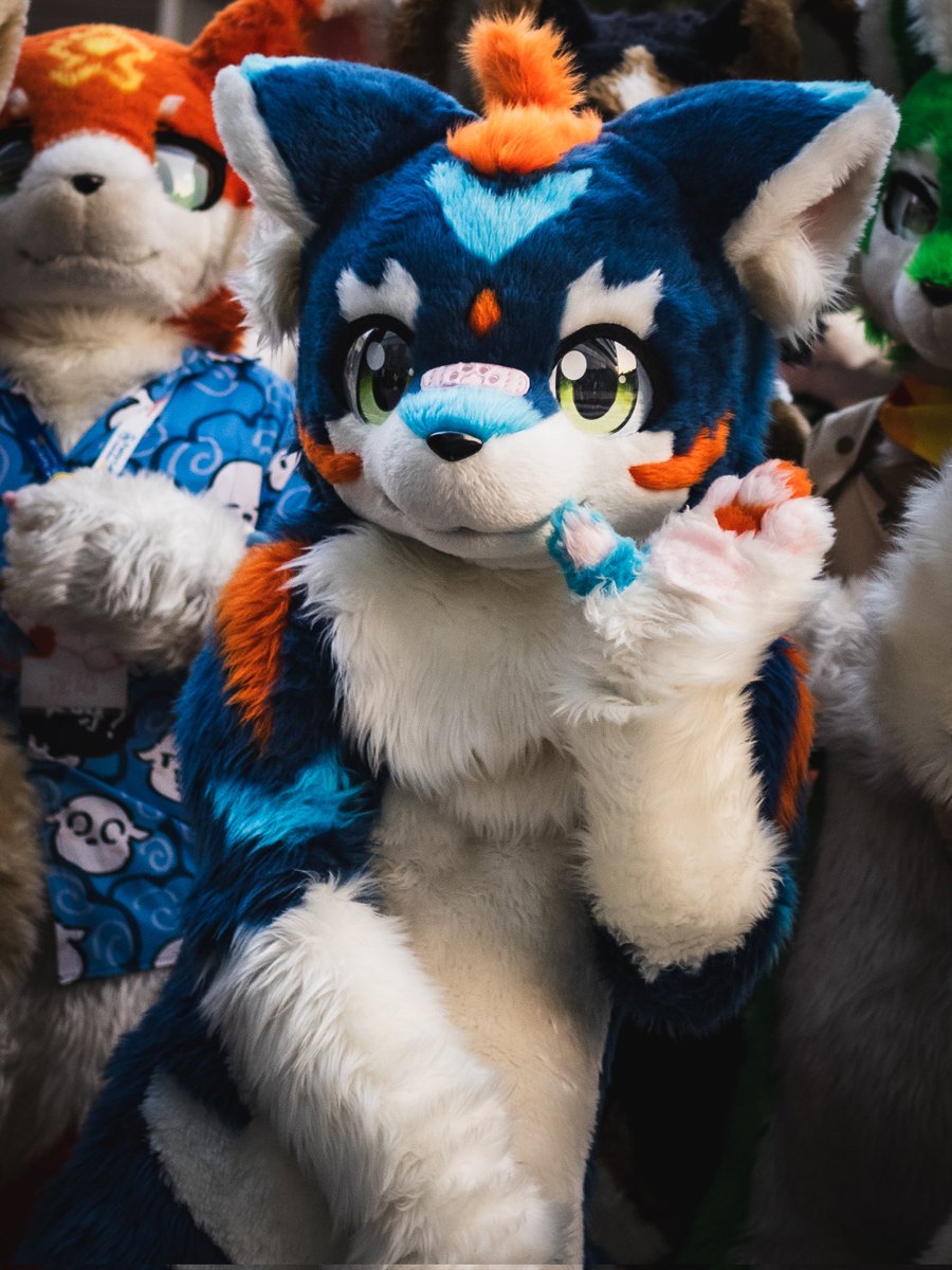 #FursuitEveryday 
Day14  今天是小天使RION
他是如此的有活力。阳光，可爱，带给人干劲与冲劲，甚至是如此的，耀眼。

我是这耀眼的瞬间
是划过天边的刹那火焰
我为你来看我不顾一切
我将熄灭永不能再回来
我在这里啊
就在这里啊
惊鸿一般短暂
开放在你眼前
——《生如夏花》朴树