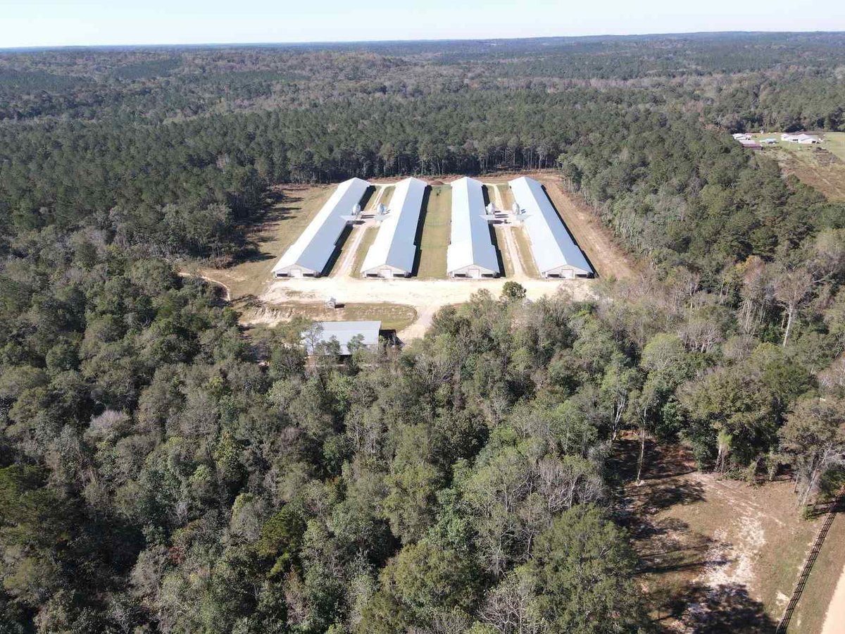 tutt_land's tweet image. 35 +/- Acres - Dale County, AL - $3,300,000
Dalton Adkison 334-372-1255
Located in Ozark.
buff.ly/3DogbDv 
#trustedlandprofessionals #tuttlandco #dalecounty #broilerfarm #forsaleinalabama
