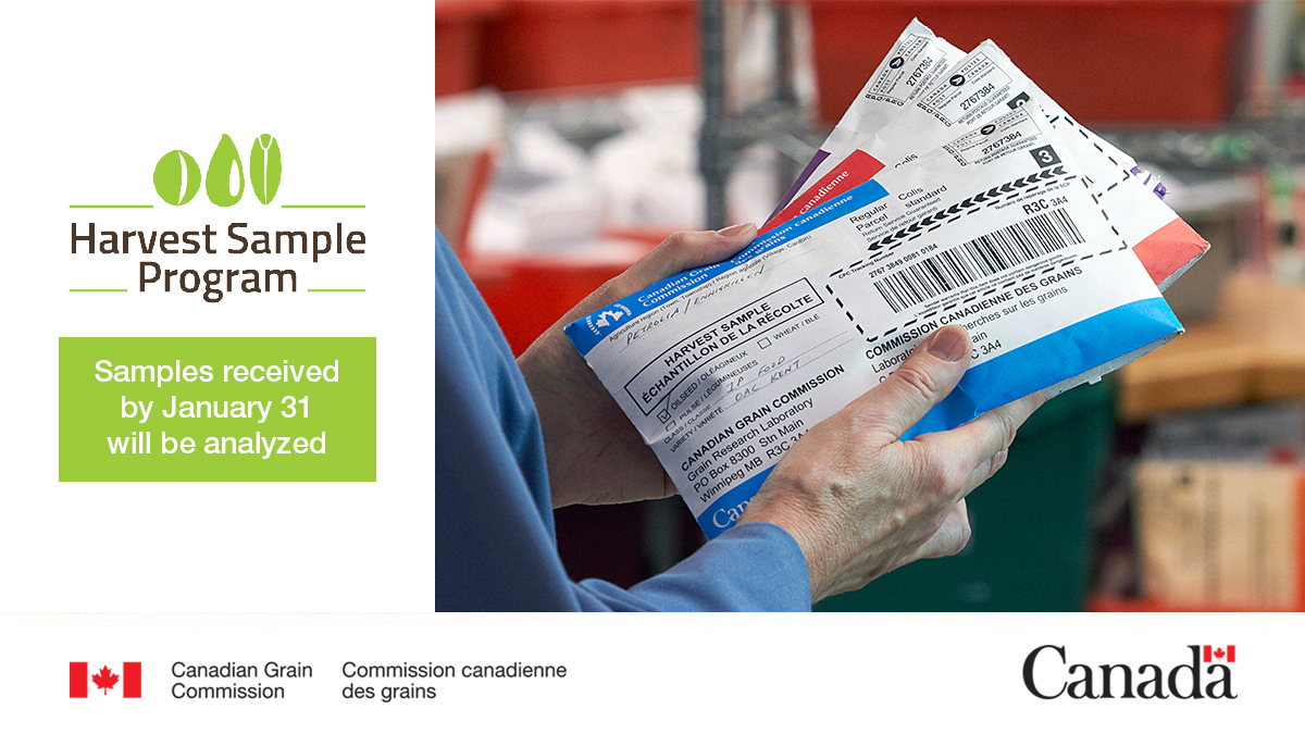 Grain_Canada's tweet photo. Reminder: The deadline to submit your #HarvestSampleProgram samples was EXTENDED due to mail delays from a Canada Post labour disruption. We’ll analyze any samples received by Jan 31.
More info: https://t.co/NL8knc5Tpq #CdnAg #WestCdnAg #EastCdnAg https://t.co/DeQvOYGA4T