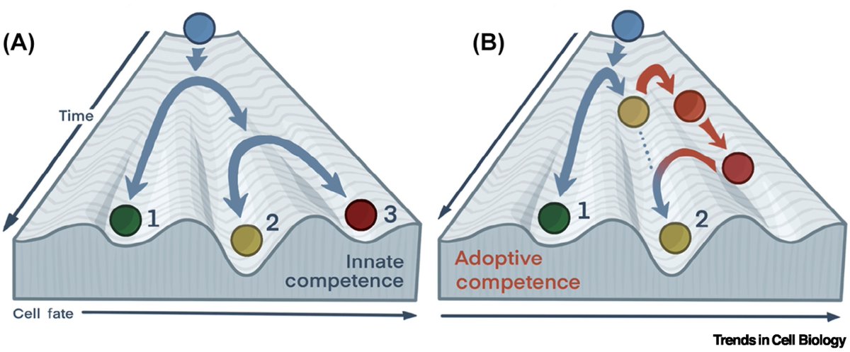 @scholpplab.bsky.social tweet media