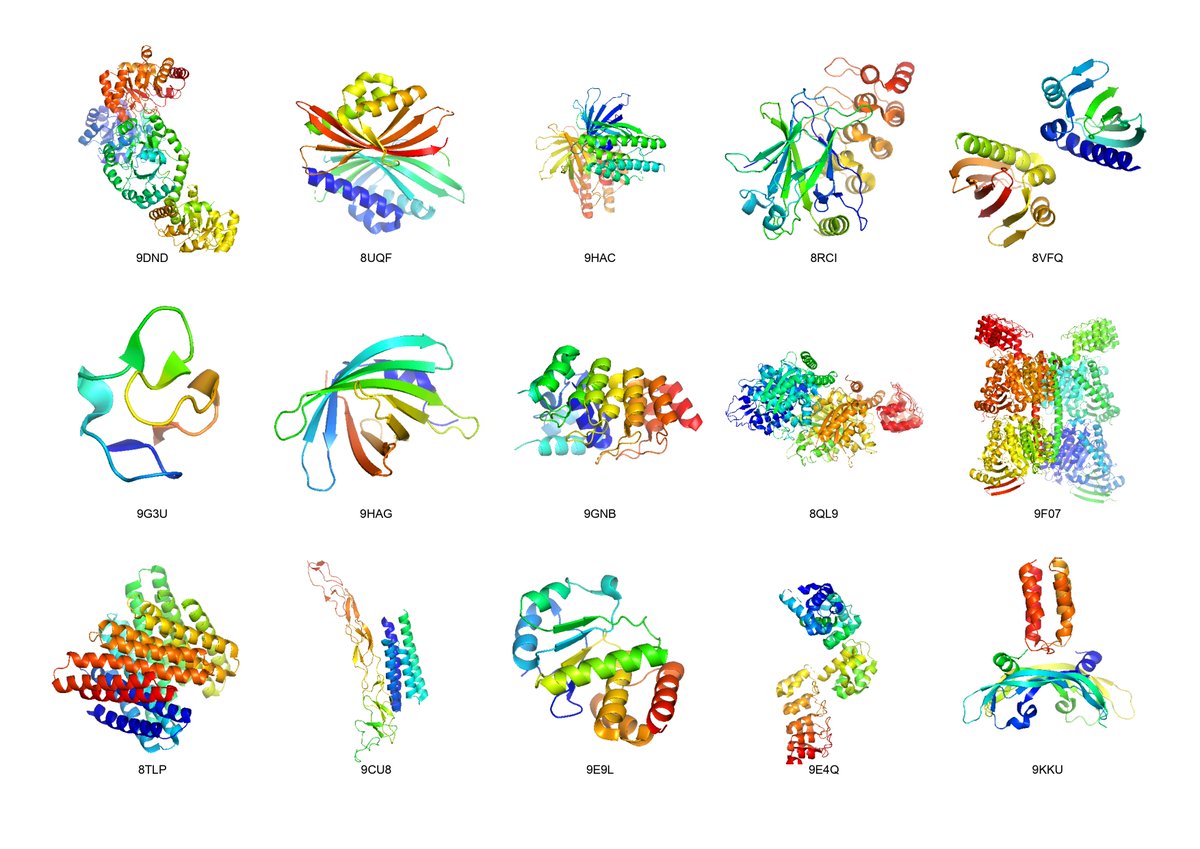 Marta Chronowska (@martachronowska) on Twitter photo 🎇 We're kicking 2025 off with a Protein Design Archive update, adding structures such as miniaturized electron-transfer proteins, small molecule and protein binders, beta barrels and hairpins, oligomers, and more! Check out all of them at pragmaticproteindesign.bio.ed.ac.uk/pda/ <a href="/ChrisWellsWood/">Christopher W. Wood</a> 🎇 We're kicking 2025 off with a Protein Design Archive update, adding structures such as miniaturized electron-transfer proteins, small molecule and protein binders, beta barrels and hairpins, oligomers, and more! Check out all of them at pragmaticproteindesign.bio.ed.ac.uk/pda/ <a href="/ChrisWellsWood/">Christopher W. Wood</a>