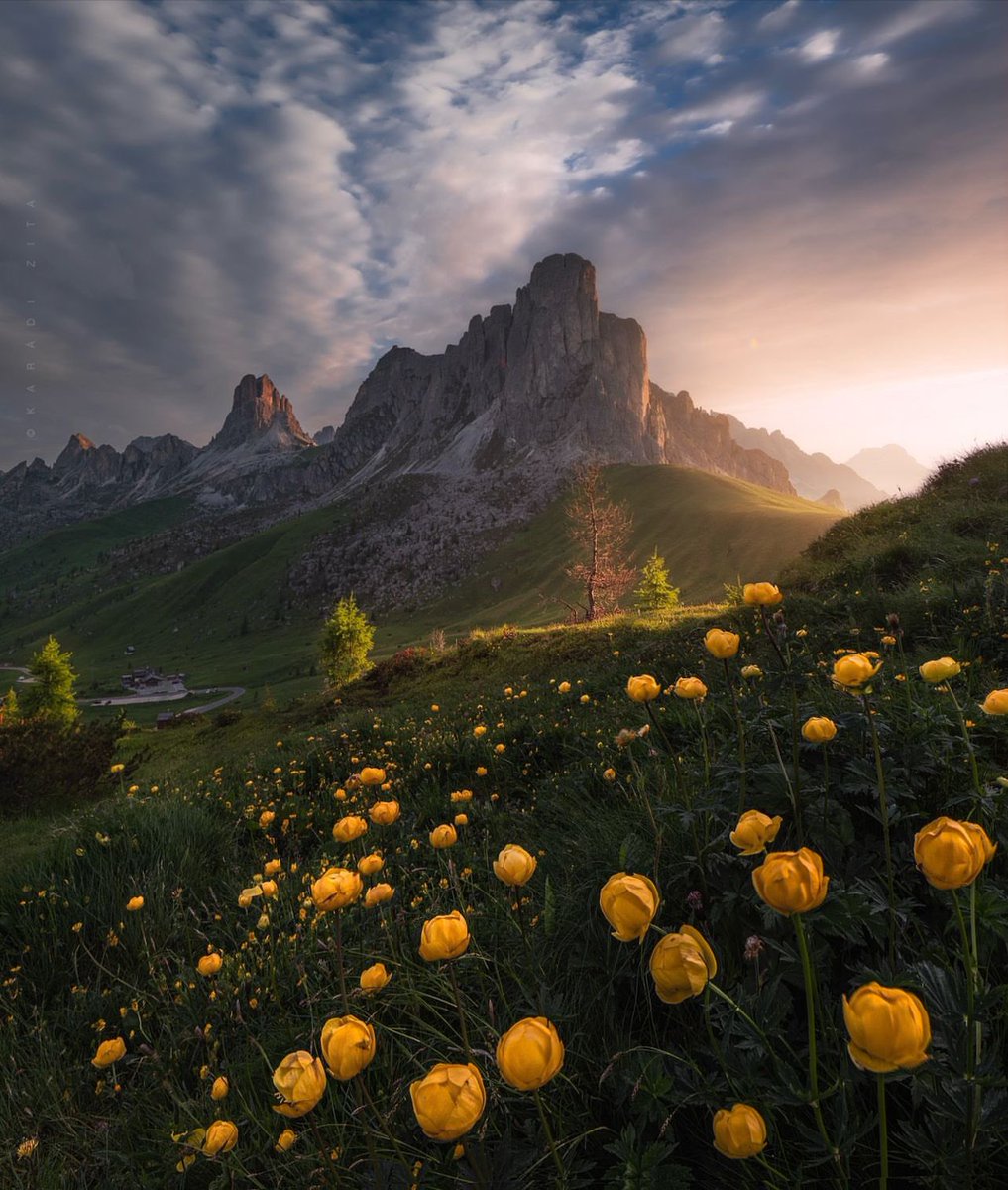 NATURE FRAME 🌿 tweet media