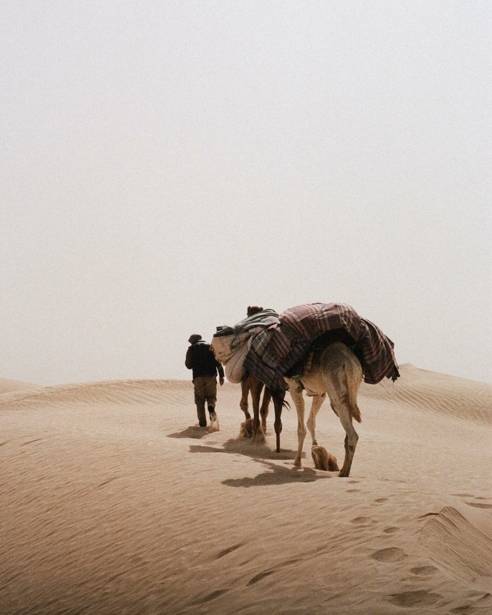 tunezmagazinetn's tweet photo. South of Tunisia ✨🏜️ #Tunisia https://t.co/oFb88IHPlZ
