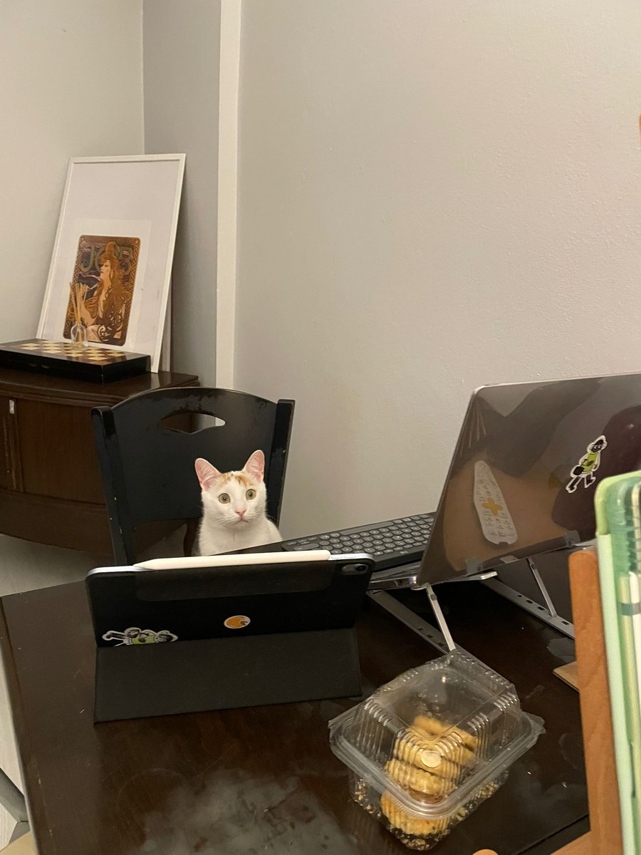 "Revize ekstra yaş mamaya girer yalnız"