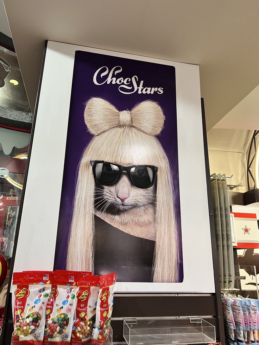 UniversalDoves's tweet image. Saying goodbye to the bunny-looking kitty at Sparkys CityWalk. You will be missed #Sparkys #citywalk #UniversalStudios