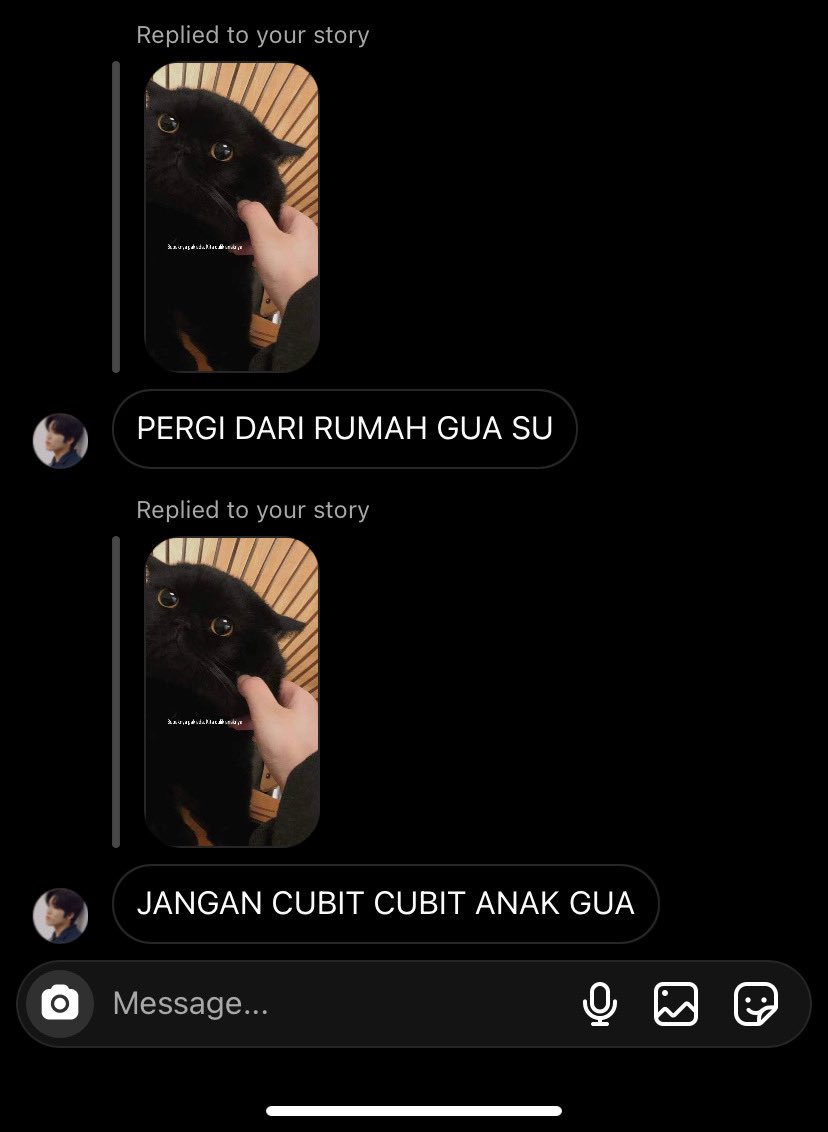onaskies's tweet photo. Ketagihan liat mereka berantem😭 https://t.co/K6OxgFu3Dw