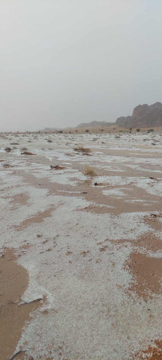 السليمي
#تصويري 
#برق_الهدايم