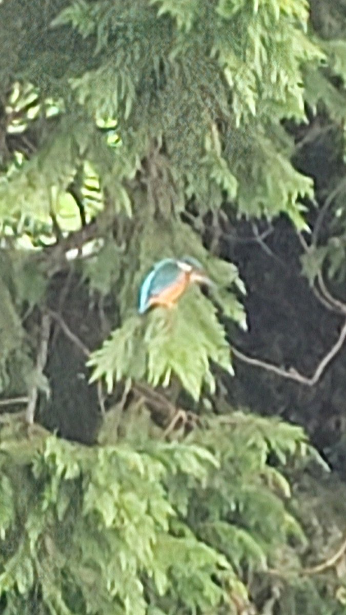 Grandad Martin 👴🏻🇺🇦 tweet media