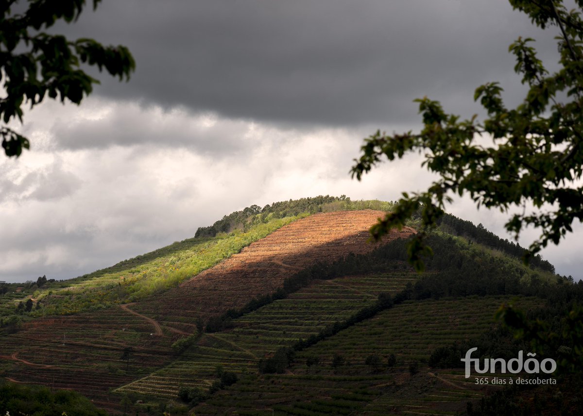 Com um investimento superior a 4,5 milhões de euros
Operações Integradas de Gestão de Paisagem da Serra da Gardunha aprovadas

cm-fundao.pt/index.php/home…
