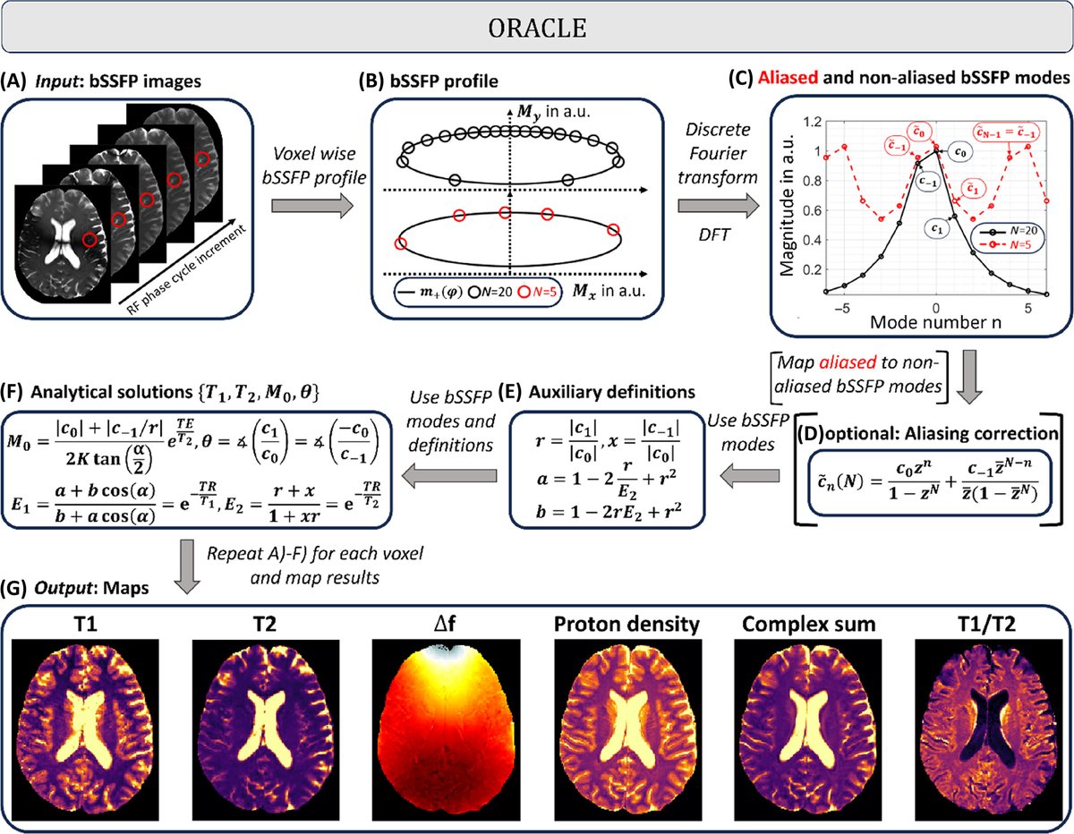 Jessica Bastiaansen (@jessica_b_) on Twitter photo 🚀 Excited to share our latest work! 🧠
Interested in elegant and open-access #MRI techniques for obtaining quantitative information from the brain? Check out: onlinelibrary.wiley.com/doi/10.1002/mr…
#MedicalImaging #QuantitativeMRI <a href="/snsf_ch/">Swiss National Science Foundation</a> <a href="/MedFacultyUniBE/">Faculty of Medicine, University of Bern</a> 🚀 Excited to share our latest work! 🧠
Interested in elegant and open-access #MRI techniques for obtaining quantitative information from the brain? Check out: onlinelibrary.wiley.com/doi/10.1002/mr…
#MedicalImaging #QuantitativeMRI <a href="/snsf_ch/">Swiss National Science Foundation</a> <a href="/MedFacultyUniBE/">Faculty of Medicine, University of Bern</a>