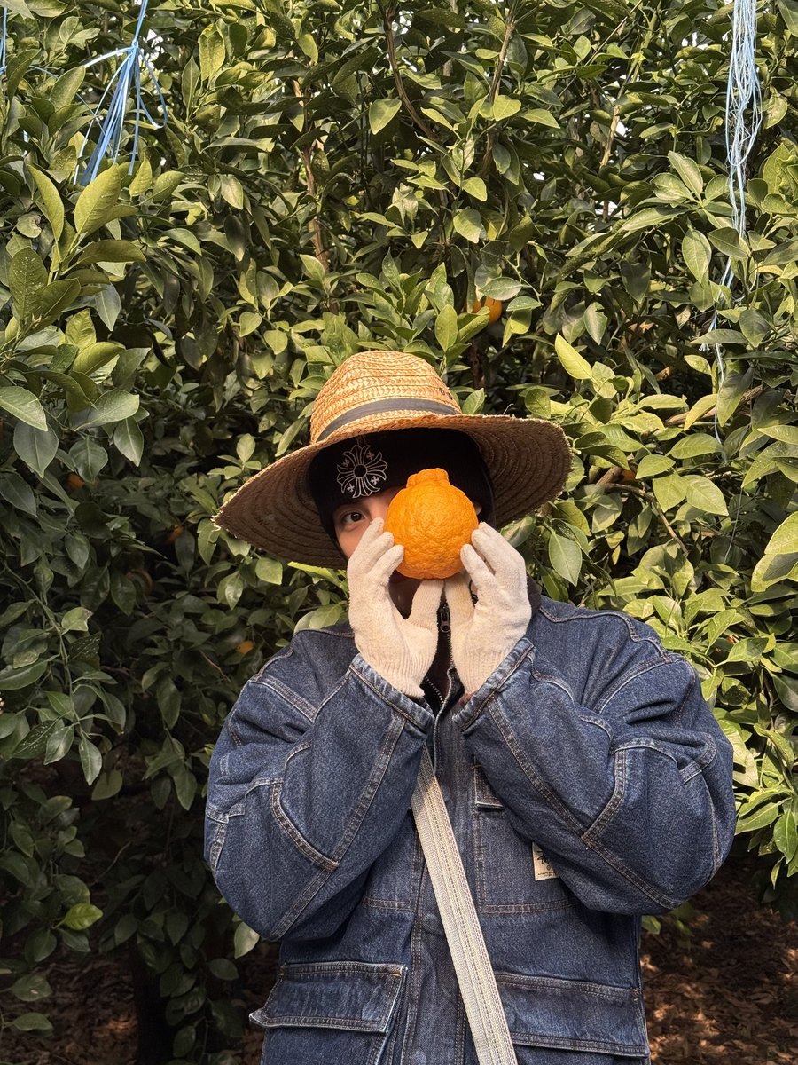 250106 성혁 공카

빼꼼🍊

하 진짜 귀엽다.