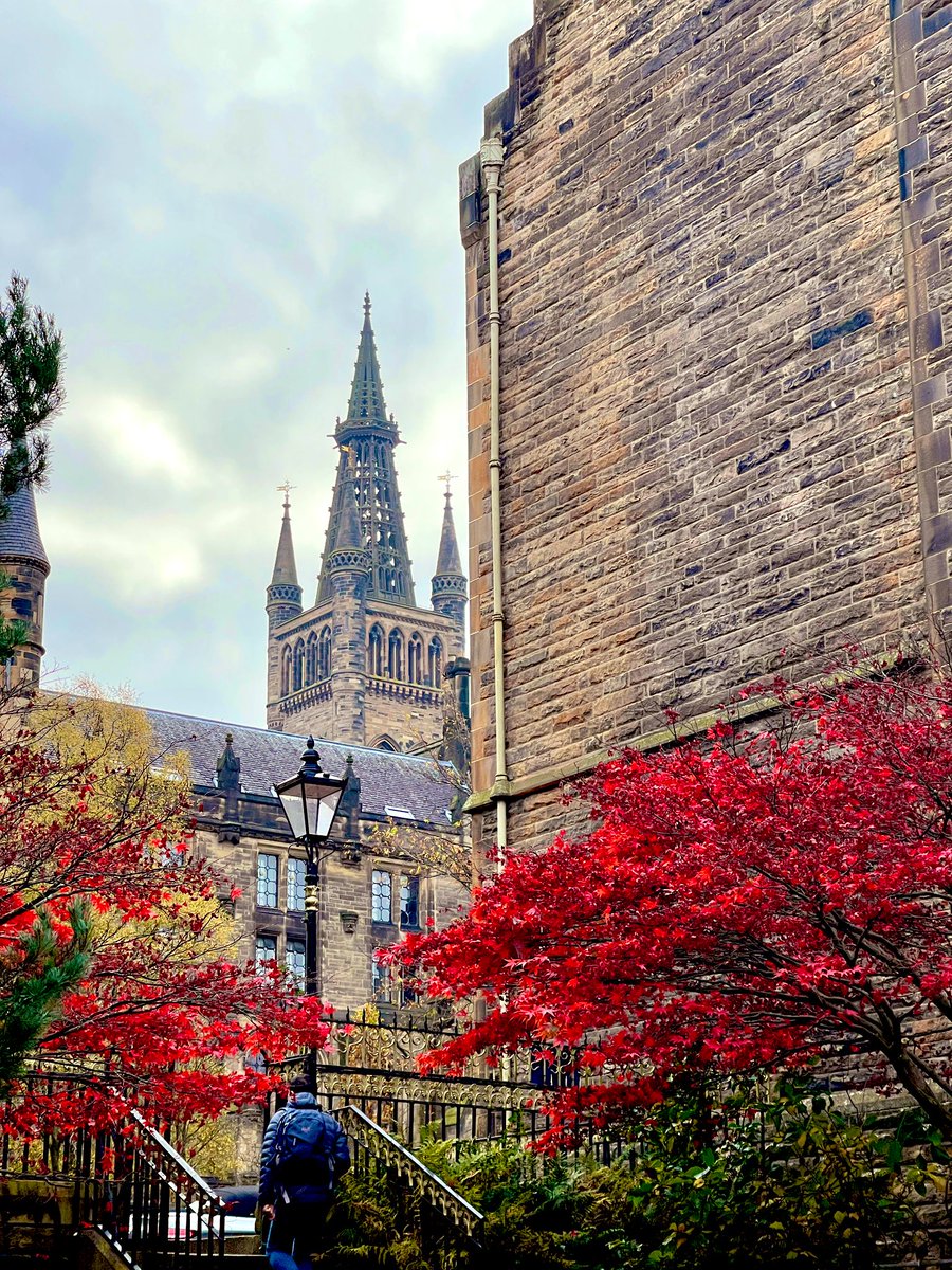 writersaraho's tweet photo. Fall throwback. Definitely wasn’t late for class before stopping to take these pics 🍁 https://t.co/UF8QUtDUxu