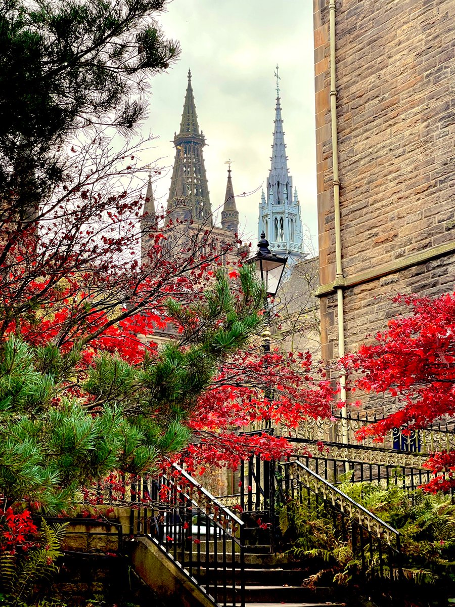 writersaraho's tweet photo. Fall throwback. Definitely wasn’t late for class before stopping to take these pics 🍁 https://t.co/UF8QUtDUxu