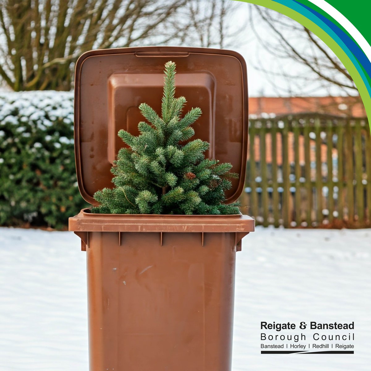 You can recycle your real Christmas tree:
🎄 at your nearest Surrey County Council Community Recycling Centre; or
🎄 Garden waste members can have their trees collected once the service is back after its winter break (from 13 January)
(See 🔗 in 1st comment for details)