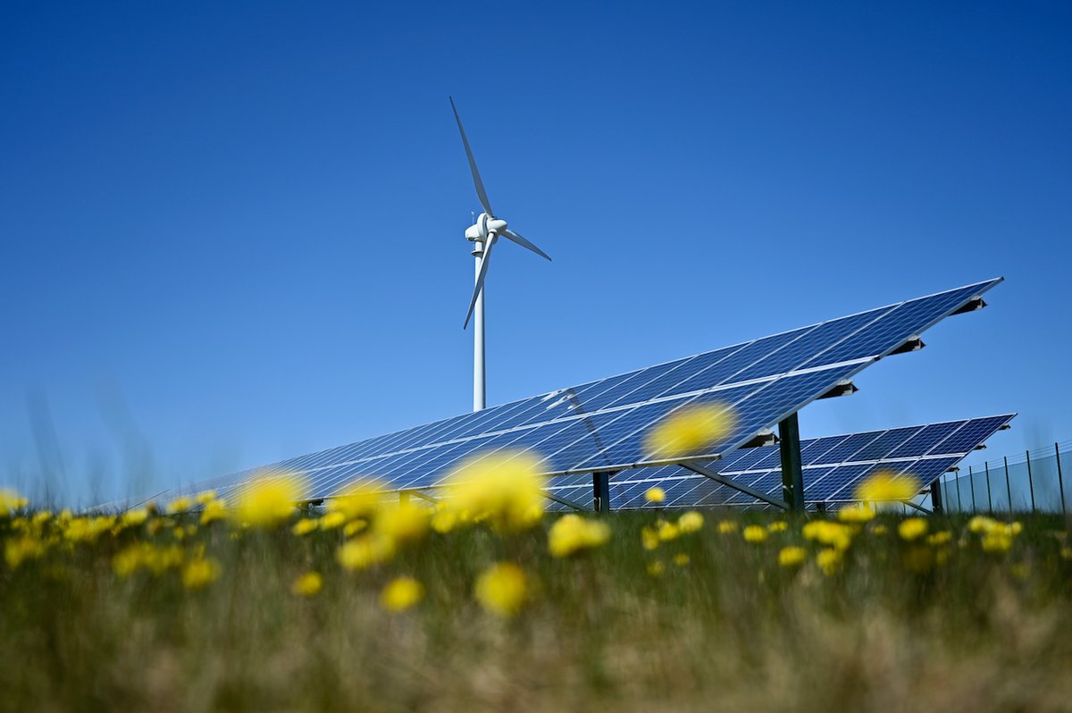 Only two wind farms won power deals in Poland’s recent technology-neutral renewable energy auctions, while solar PV secured the vast majority of contracts awarded
#windpower #renewables #energytransition
tinyurl.com/n95hcvky