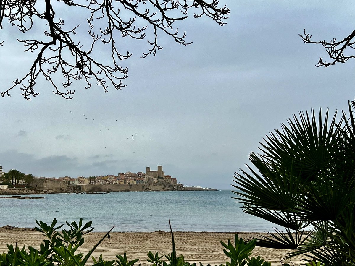 𓂀 Brigitte B ♡🇫🇷♡ tweet media