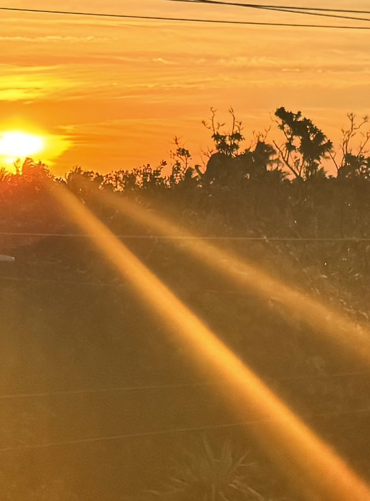 #sunrise #islandlife #tropical #nosnow <a href="/thefloridakeys/">The Florida Keys & Key West</a> <a href="/KeyWestWildlife/">KWWildlifeCenter</a> <a href="/DangerCharters/">dangercharters</a> <a href="/kwattractions/">Key West Attractions</a> <a href="/VISITFLORIDA/">VISIT FLORIDA</a> <a href="/keywestdirect/">Jamie Olwell</a>