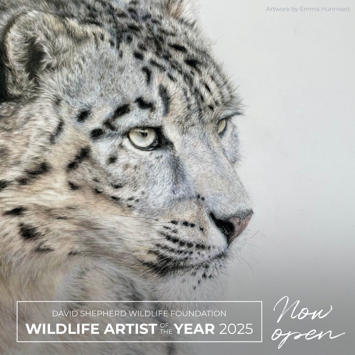 DSWFWildlife's tweet photo. Enter #WAY25 🎉 

From midday on 6 January 2025 until midnight 27 March, what is probably the world’s greatest celebration of wildlife art, will be welcoming this year’s hopeful artists, sculptors, and creators. 

https://t.co/H2t6Dx9X3R https://t.co/G16EGJZlWH