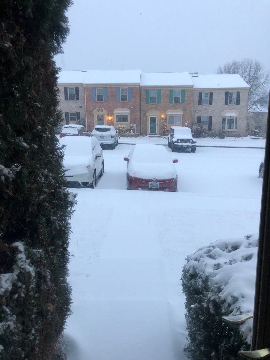 BCBlueJay's tweet photo. It’s snowing!  And there’s a lot more to come! #Baltimore #snow https://t.co/V7m9VRwgXS
