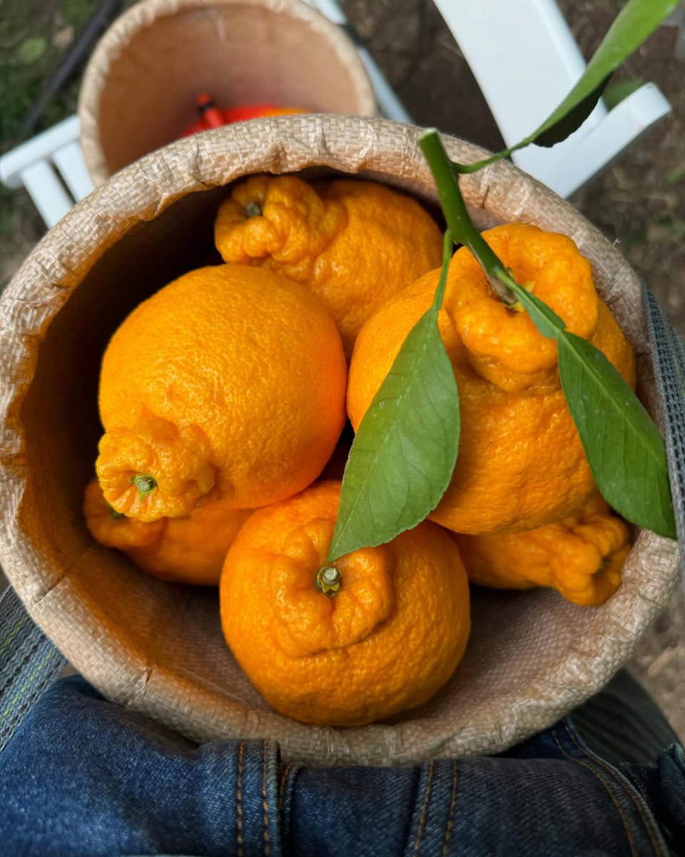 제주도 가고 싶어진다!!!