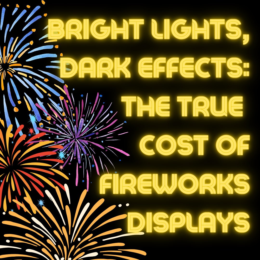 NEW BLOG POST: To kick off 2025, Felicity is taking a look at the effect of fireworks - both on our air quality and on our most vulnerable members of our communities

Read it here: blogs.canterbury.ac.uk/sustainability…

#fireworks #newyear #cccu