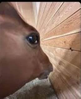 i see you 

higher 

EKM1V7823pMFmDqeSZ5BfeV91XS36V3Qro9WBDtopump
