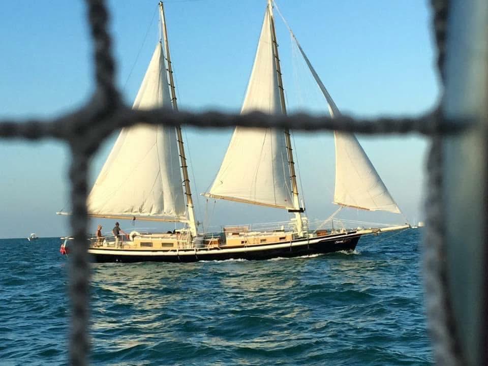 #vacationmode #islandgirl #FamilyVacation #sailing  #keywest <a href="/VISITFLORIDA/">VISIT FLORIDA</a> <a href="/thefloridakeys/">The Florida Keys & Key West</a> <a href="/DangerCharters/">dangercharters</a> <a href="/kwattractions/">Key West Attractions</a> <a href="/keywestdirect/">Jamie Olwell</a>