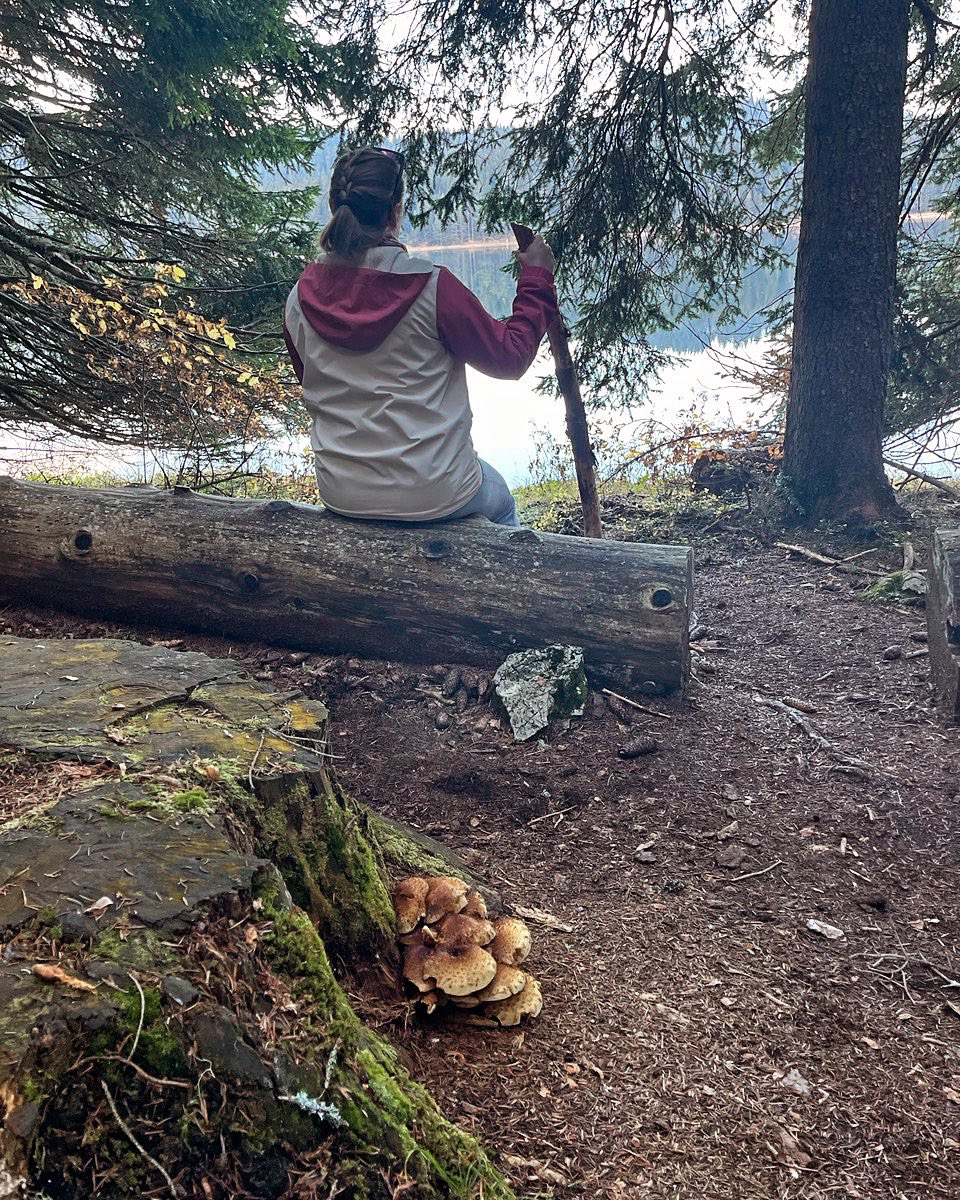 Should we say ‘no’ to a global worldview and ‘yes’ to democracy, free market, and human rights within national borders? How about the freedom of movement that is guaranteed by constitutions? !RISE <a href="/OnChainMonkey/">OnChainMonkey®</a>