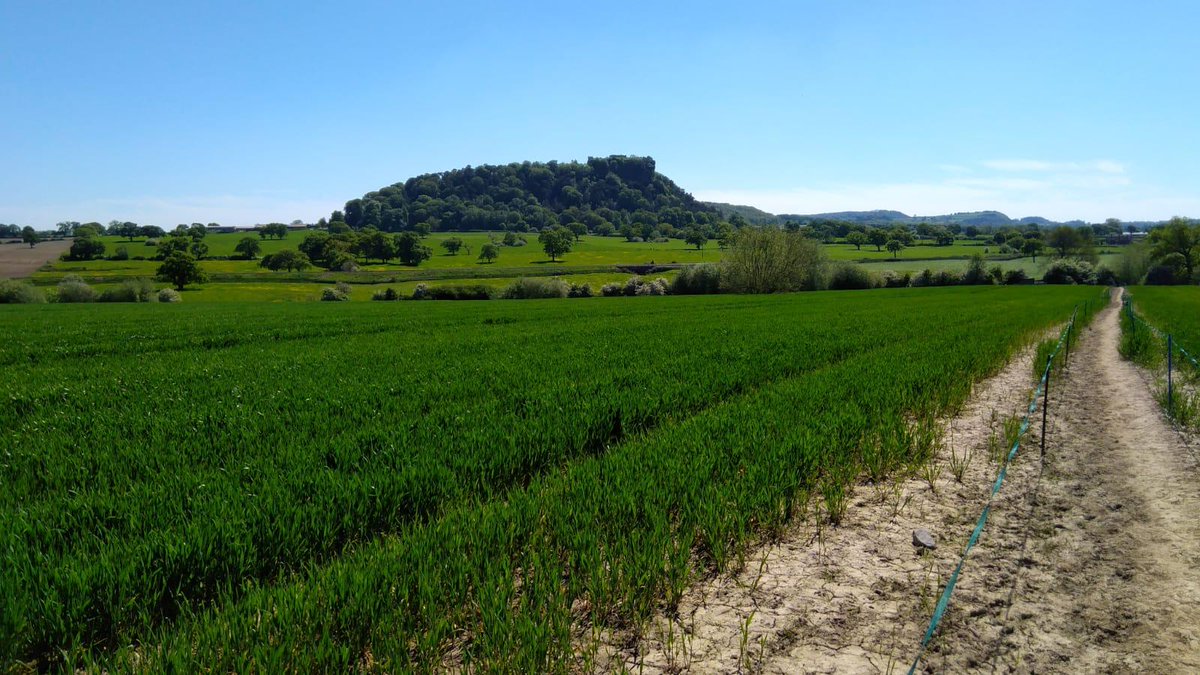 Calveley is particularly well-connected, with Nantwich, Crewe and Chester in easy reach. Find out more about the setting of our latest new-build development cbhomes.co.uk/choosing-calve…
#CBHomes #newbuildhomes #countryhomes #newhouse #newhome #buildinghouses #ruralliving #movinghouse