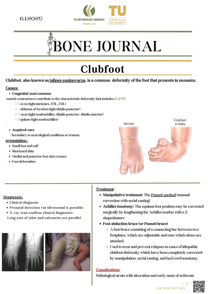 OrthopedicTU's tweet photo. #Bone_Journal https://t.co/6VOIu1aF7f