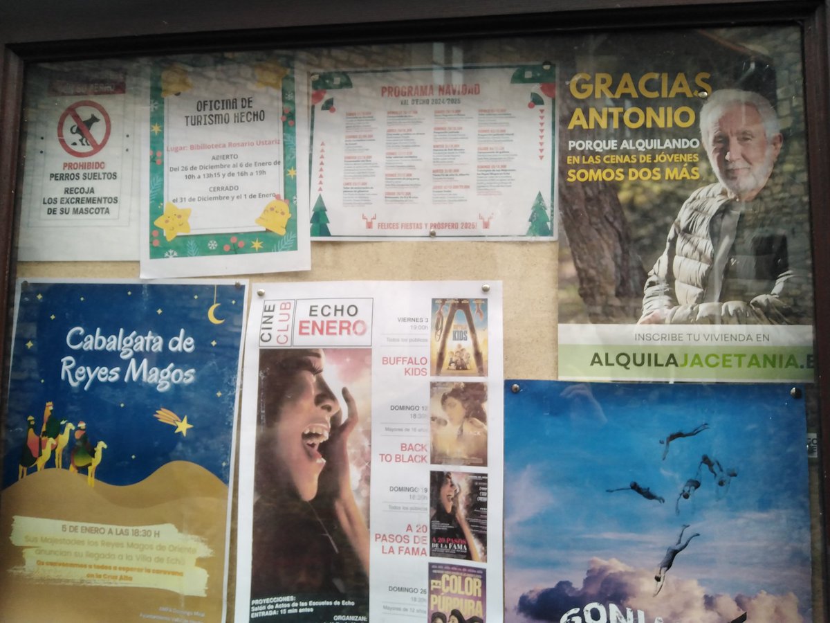 Exon ere aragoieraren presentzia arlo publikoan hutsaren hurrengoa da. Nafarroan ederki dakigu zer nolako eraginkortasuna izan duten udalek euskararen mantenuan eta garapenean. Tamalez, nago egungo politikariek, neurri batean, galdu dutela ikuspegi hori, Nafarroan nahiz Aragoin.