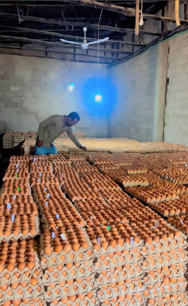 INTERESTING FACTS ABOUT EGGS

Fry egg, poach it, boil or bake it - any way you do it, you will still get the same nutritional value. 

Eating raw eggs won’t help you build muscle. Only 51% of the proteins in raw eggs are digestible, while 91% of the proteins in cooked eggs are