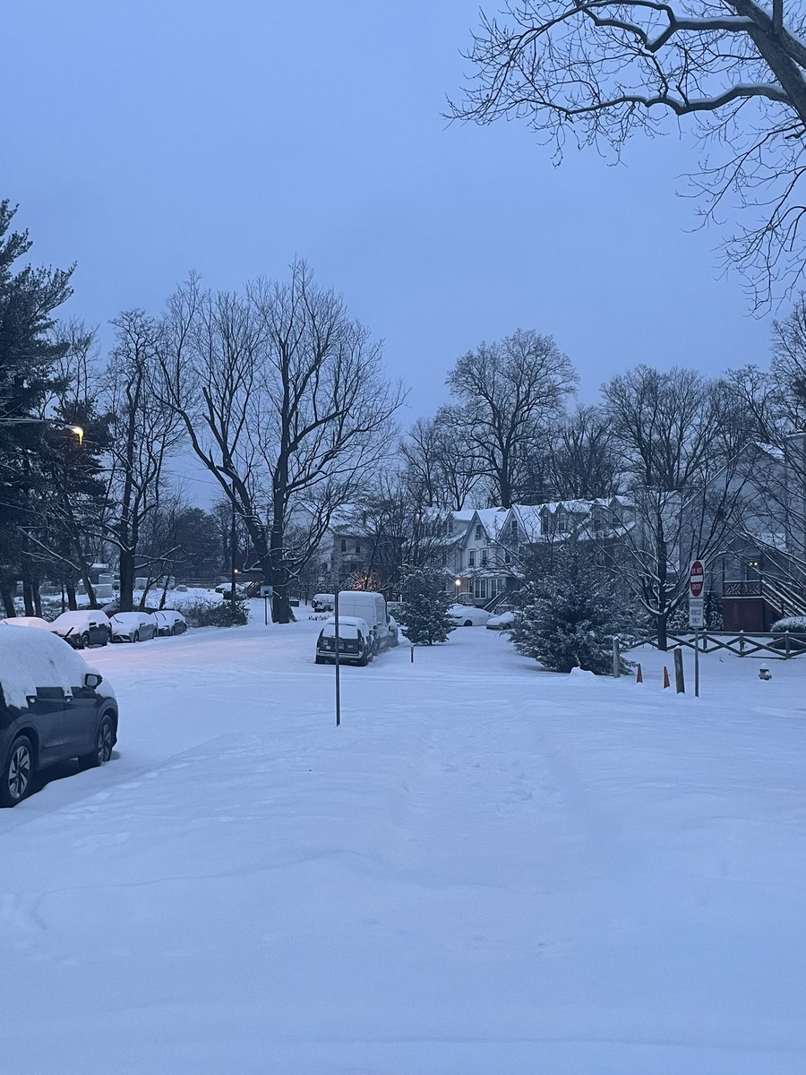 smackthefish's tweet photo. ❄️❄️❄️ @fox5dc #Fox5SnowDay https://t.co/b42LehOQFU