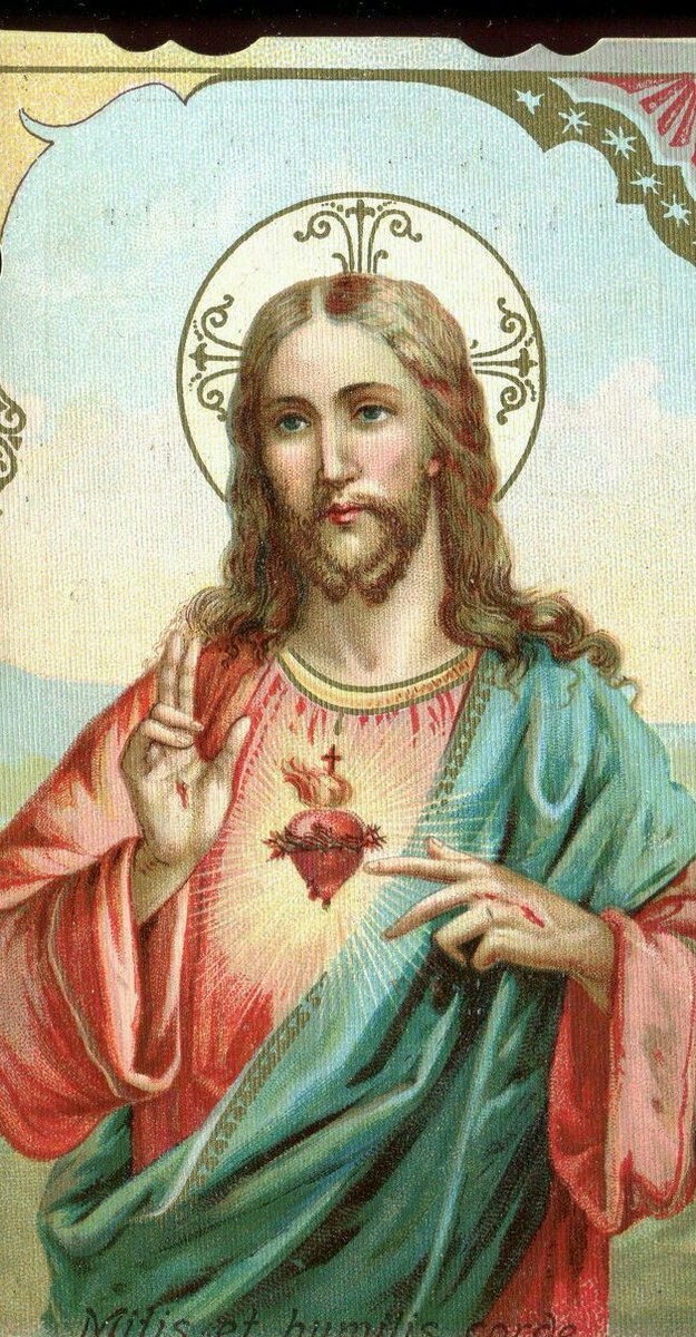 PrayTheRosary's tweet photo. Most Sacred Heart of Jesus, have mercy on us https://t.co/y2HbSjzR13