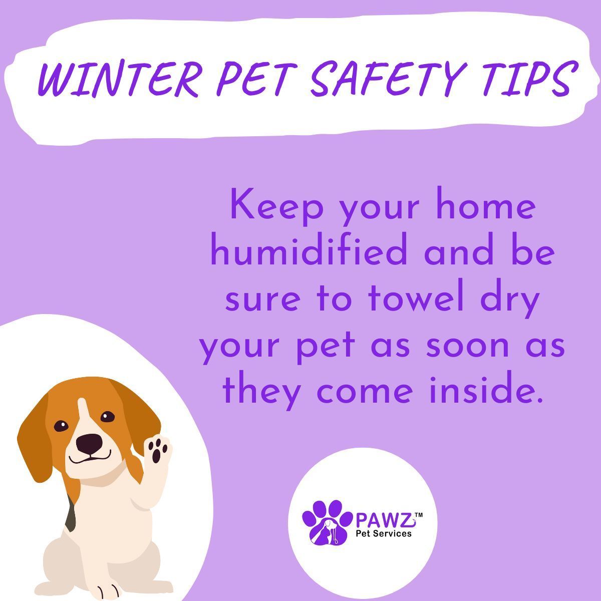 PawzServices's tweet photo. Sharing a great winter safety tip from the ASPCA.

See their full list at https://t.co/T07gyoW2nu

#winter #pets #petsafety #safetytips #NorthCarolina #Raleigh #Asheville #cats #dogs https://t.co/4qRYm9zNaE