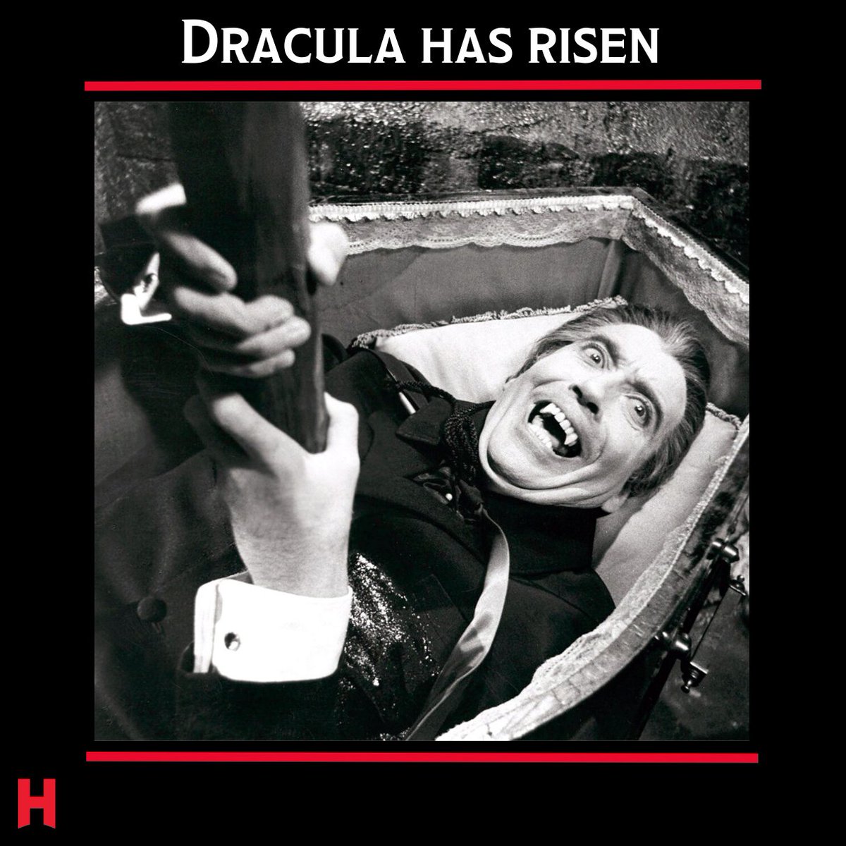 Just like Dracula emerging from the grave, we have risen to haunt the year 2025. What dark plans do you have for this chilling new chapter?

#hammer #horror #horrorcommunity