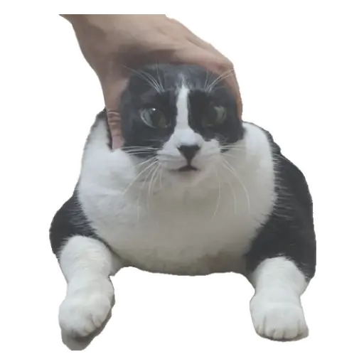 thespecko's tweet photo. @PICTROXDDDD https://t.co/xDilCHWpVT