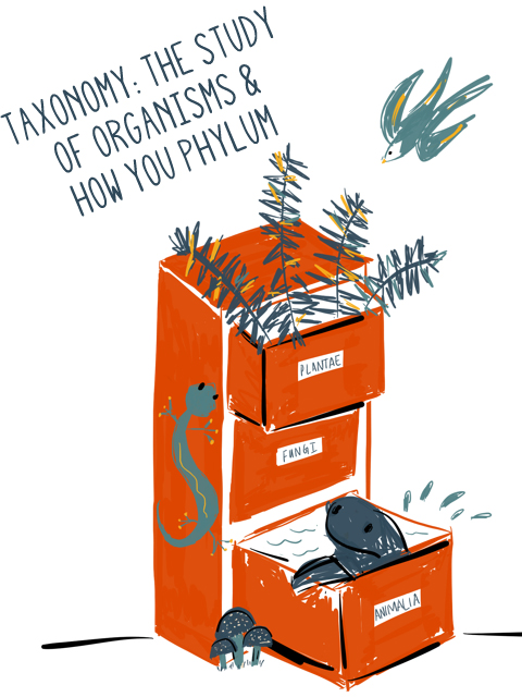 Happy Taxonomist Appreciation Day!!

An occasion to show appreciation to taxonomists and systematists for all the work they do! We certainly appreciate ours... 🔬

#TaxonomistAppreciationDay <a href="/WRMarineSpecies/">WoRMS</a>