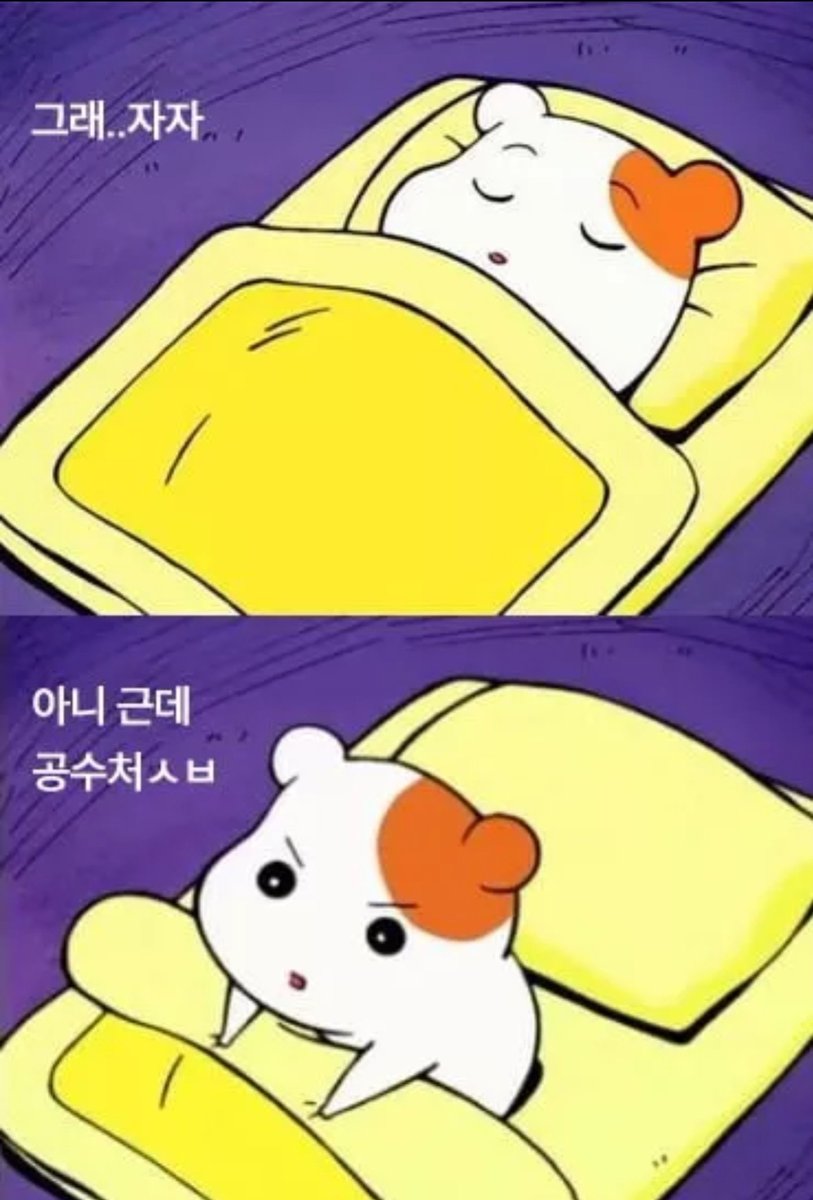 [속보] 공조본 "서부지법에 尹 체포 기한 연장 위한 영장 재청구"