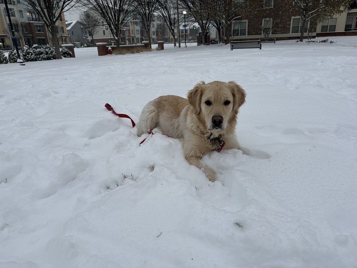 ℍ𝕖𝕒𝕥𝕙𝕖𝕣 ℍ𝕦𝕣𝕝𝕖𝕪 tweet media