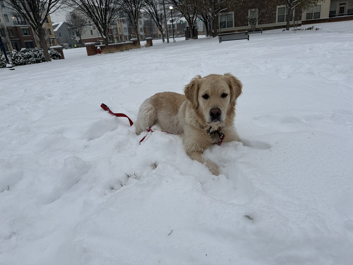 ℍ𝕖𝕒𝕥𝕙𝕖𝕣 ℍ𝕦𝕣𝕝𝕖𝕪 tweet media