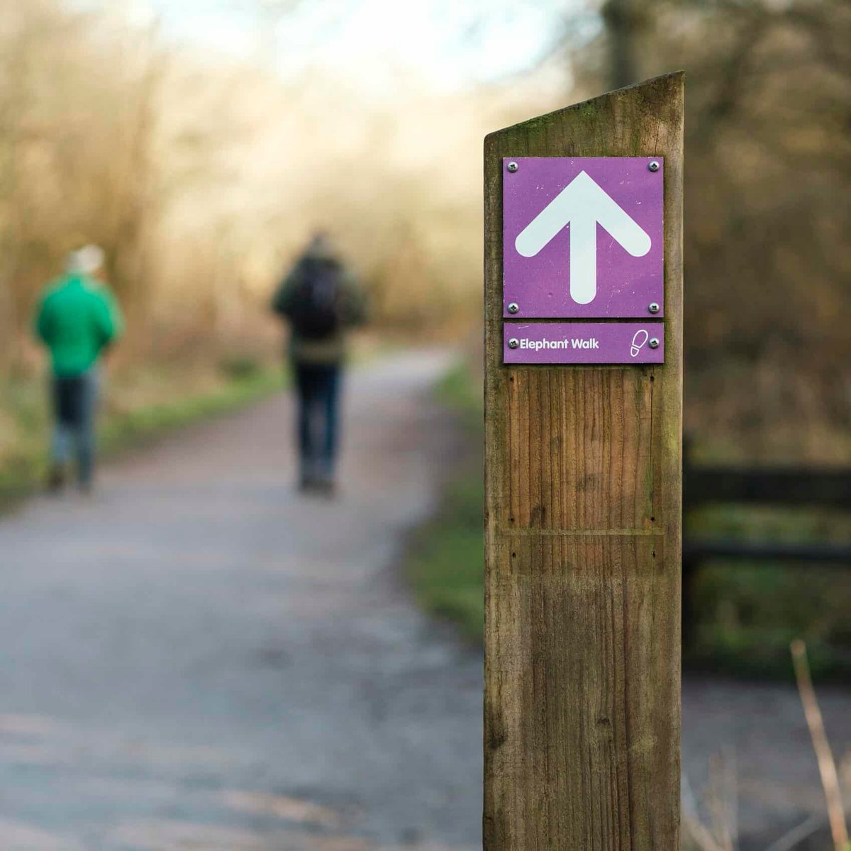 Visit the Walking and Cycling page on our website to discover #wherenext for a Northamptonshire walk: discover-northamptonshire.co.uk