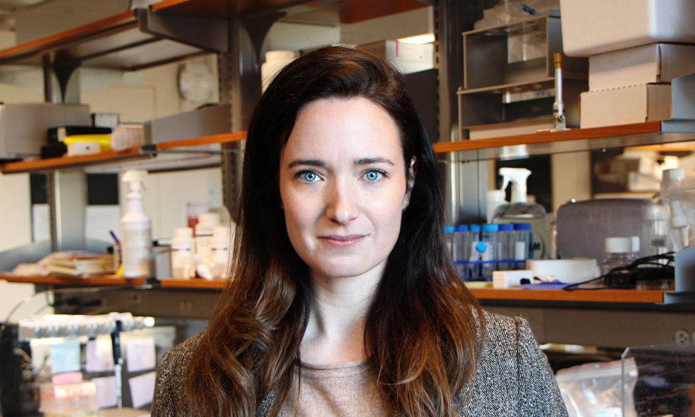 MCB_Harvard (@mcb_harvard) on Twitter photo Faculty Spotlight: Marissa Gredler—Unraveling the Mysteries of Embryonic Development <a href="/mlgredler/">Marissa Gredler</a> <a href="/RachelleGaudet/">Rachelle Gaudet</a> <a href="/CohnLab/">Marty Cohn's Lab</a> <a href="/MicrobiomeTcell/">Kazuki Nagashima</a> <a href="/JeeyunC/">Jeeyun Chung</a> @LabWhipple @zombieflied <a href="/rnett42/">Ryan Nett</a> <a href="/MaxPrigozhin/">Max Prigozhin</a> <a href="/HekstraLab/">Hekstra Lab</a> @naoshigeuchida <a href="/DulacLab/">Catherine Dulac</a> <a href="/fleshball/">Ethan Garner</a> <a href="/Harvard/">Harvard University</a> mcb.harvard.edu/department/new… Faculty Spotlight: Marissa Gredler—Unraveling the Mysteries of Embryonic Development <a href="/mlgredler/">Marissa Gredler</a> <a href="/RachelleGaudet/">Rachelle Gaudet</a> <a href="/CohnLab/">Marty Cohn's Lab</a> <a href="/MicrobiomeTcell/">Kazuki Nagashima</a> <a href="/JeeyunC/">Jeeyun Chung</a> @LabWhipple @zombieflied <a href="/rnett42/">Ryan Nett</a> <a href="/MaxPrigozhin/">Max Prigozhin</a> <a href="/HekstraLab/">Hekstra Lab</a> @naoshigeuchida <a href="/DulacLab/">Catherine Dulac</a> <a href="/fleshball/">Ethan Garner</a> <a href="/Harvard/">Harvard University</a> mcb.harvard.edu/department/new…
