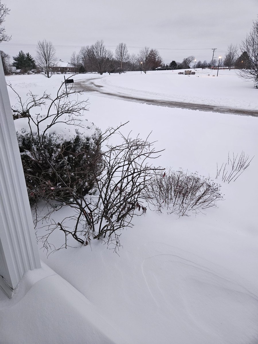 I think there's about 9 inches out there 🥶