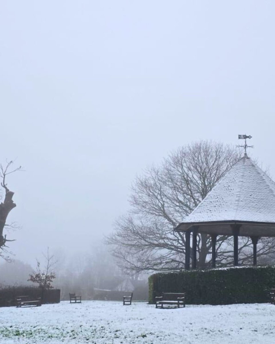 Hampstead Heath tweet media