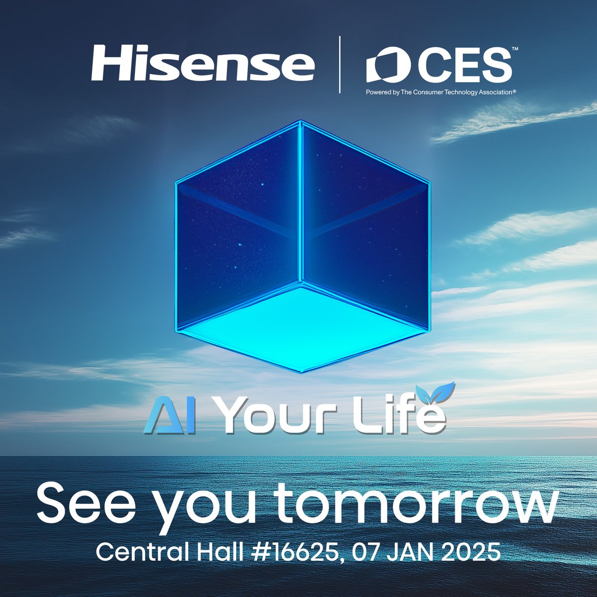 HisenseInternational tweet media