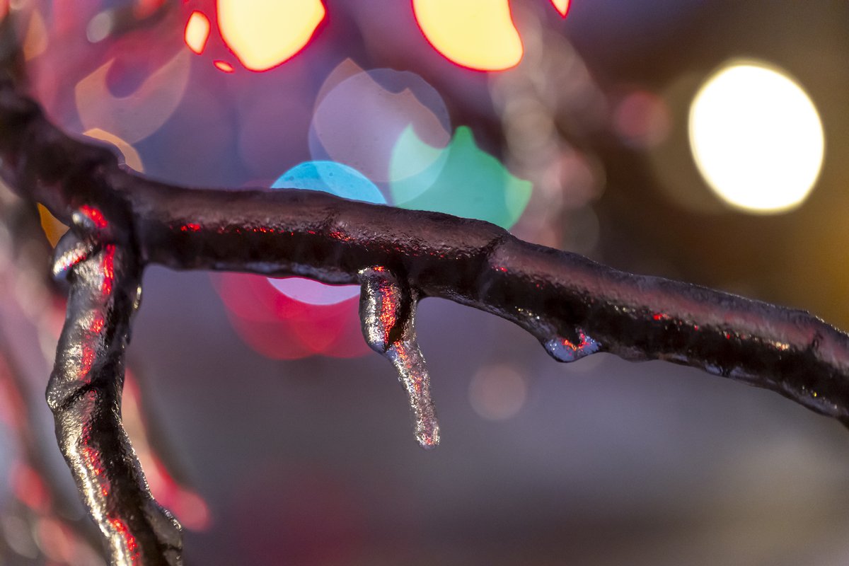 Ryan C. Hermens (@ryanhermens) on Twitter photo Ice and snow in Lexington, Kentucky.
It is unpleasant outside.
<a href="/heraldleader/">Lexington Herald-Leader</a> <a href="/HLpublicsafety/">HLpublicsafety</a> Ice and snow in Lexington, Kentucky.
It is unpleasant outside.
<a href="/heraldleader/">Lexington Herald-Leader</a> <a href="/HLpublicsafety/">HLpublicsafety</a>