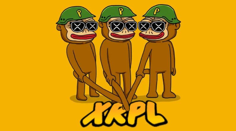 <a href="/DK64Trades/">߷</a> <a href="/ToMarzKB/">ToMarzKB ⭕️</a> Dont miss ponke's epic candle. Loading now..